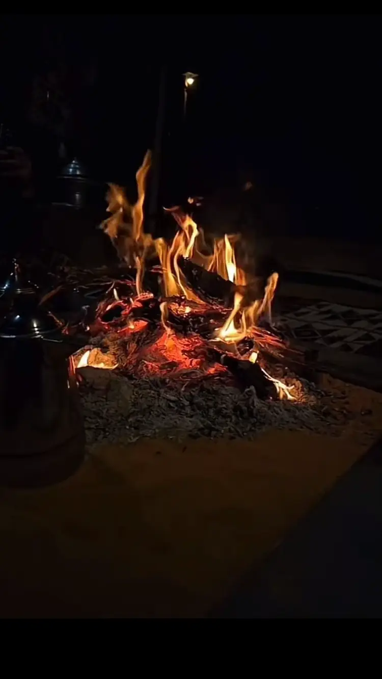 #السعودية🇸🇦منطقة #تبوك_الورد_تبوك #🇸🇦🇸🇦🇸🇦💚💚💚🇸🇦🇸🇦🇸🇦💚💚💚🇸🇦🇸🇦🇸🇦 