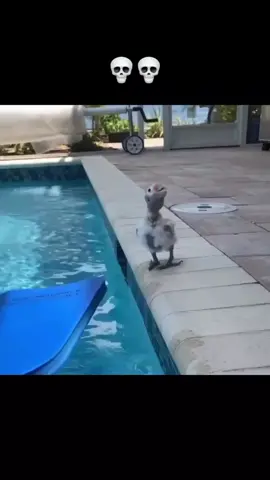 Wait for it 🤲😊❤️ #sama28 #amapiano #fyp #tiktoksouthafrica #southafricatiktok #southafrica #fypageシ #viralvideos #amapianodance #dajiggysa #satiktok #amapianochallenge #dancer #dancersoftiktok #amapianoisalifestyle #tiktoksa #mzansitiktok #dancechallenge #trendingvideo