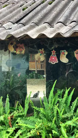 Ngôi nhà nhỏ bên trong xóm nhỏ #sapa #travel #binhyen #homestaysapa #xehetxang93 