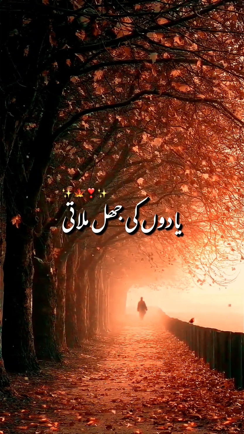 yado ki jel milati#song #songromantic #foryou #foryoupage #standkashmir #magicAnimation #viral #fyp 
