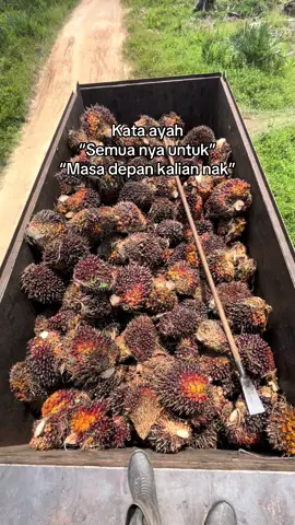 Anak petani#bosssawit #petanimuda #sawitontiktok #sawitsumatraindonesia🌴🌴 