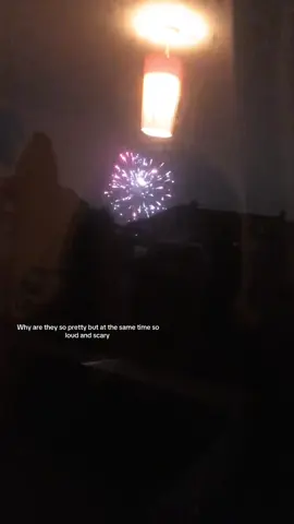 I hate fireworks so much