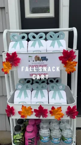 Happy November!! Let’s make a Fall theme snack cart for Delivery Drivers 🍁🍂📦🧡 Everything is on my Amazon under “Snack Cart” link in bio #snackcart #fall #fallsnacks #falldecor #november #happynovember #deliverydriver #asmr #asmrsounds #restockwithme #organized #satisfying 