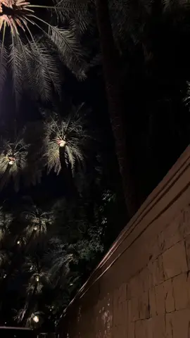 طحت في غرام هالطريق 🥺🌴 #الدرعية #مزرعة #الرياض #اكسبلور #اكسبلورexplore #السعوديه #نخل # #dirriyah #تصوير #الشعب_الصيني_ماله_حل😂😂 