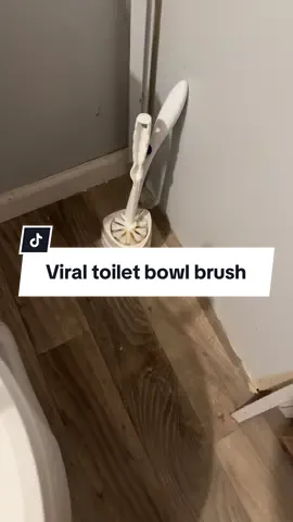 Excuse my dirty walls and floors I’ve been trying to clean all day long. #CleanTok #toiletbrush #outwiththeold #inwiththenew 