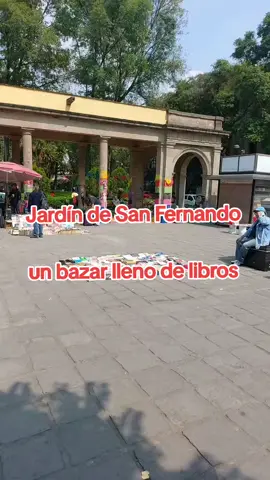 ¿Qué otro lugar podría visitar? #libros #librosusados #BookTok #viralvideos 