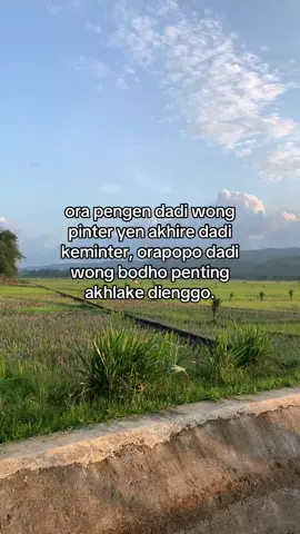 😇🌾 #jawakejawen #jowostory #bahanswmu #storywa #ibnuaa #fypシ 