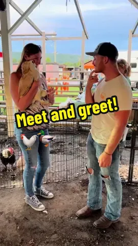 Meet and Greet this weekend! Kinda😂🐓🦆 #foryou #chickens #ducks #backyardchickens #ducksoftiktok #ohio #meetandgreet 