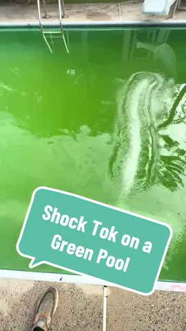 Election Day doesn’t stop the Shock Tok. Started on a green one today. #shocktok #greenpool #fyp #election2024 #usa #asmr 