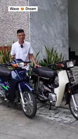 Ban chin wave hay dream. 