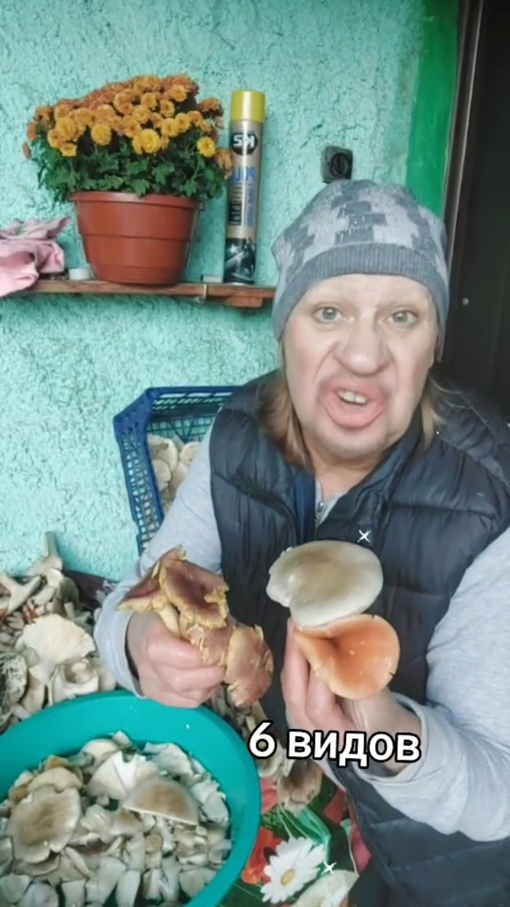 #удачи🙋🏼‍♀️🏞❤️🍁 🍄‍🟫🤣