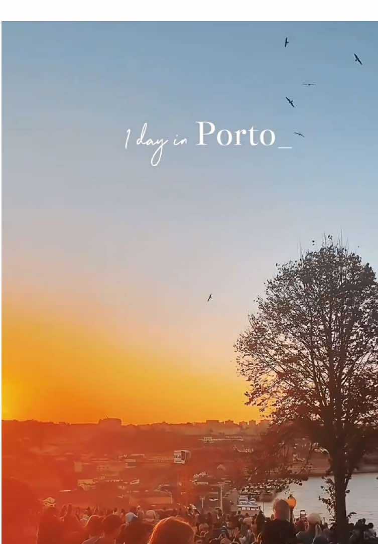 #CapCut #porto #portugal 