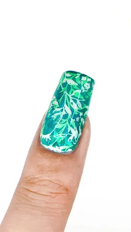 Tropical Vibes! 🌴 Ready to stamp paradise onto your nails? #MelodySusie products used: 👉 Thick Gels - 479 Snow White, 347 Bright Parrot Green & 359 Persian Blue 👉 French Nail Stamper Kit 4PCS - Clear 👉 SC320F Rechargeable Nail Drill 30000RPM 👉 25mm Metal Nail Drill Bit 🔗 Link in my bio #melodysusiegels #melodysusienails #nailart #naildesigns #nailinspo #forestnails #tropicalnails #nailideas #nailarttutorial #nailstamping #plantnails #instanails #nailhack #beginnernailart #greennails #gelnails #elegantnails #wintervibes #nailtrends #diynails #nailsathome #tiktokblackfriday #blackfridaydeals #fypシ #easynailart 