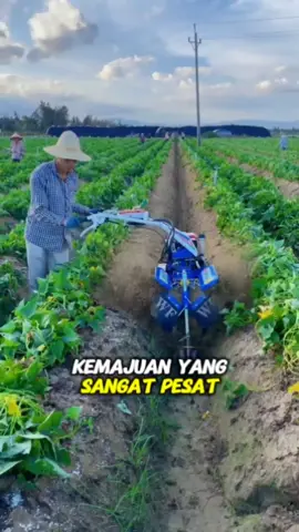 Cina adalah raja dalam sektor apapun termasuk sektor pertanian #fyp #trending #viral #reels #shorts #vod #fbpro #facebookpro #pemula #pertanian #agriculture #farming #perkebunan #kebun #gardening #garden #harvesting #berkebun #china 