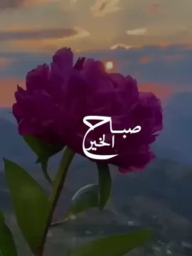 #تيك_توك #s23b3 #صباح_الخير #قصايد #لشاعرها #قصايد_شعر #يسعد_صباحك #تصاميم_فيديوهات #تصاميم #يسعد_صباحكم 