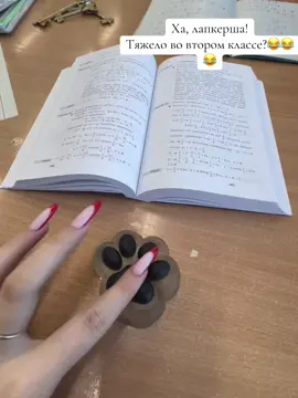 #CapCut 