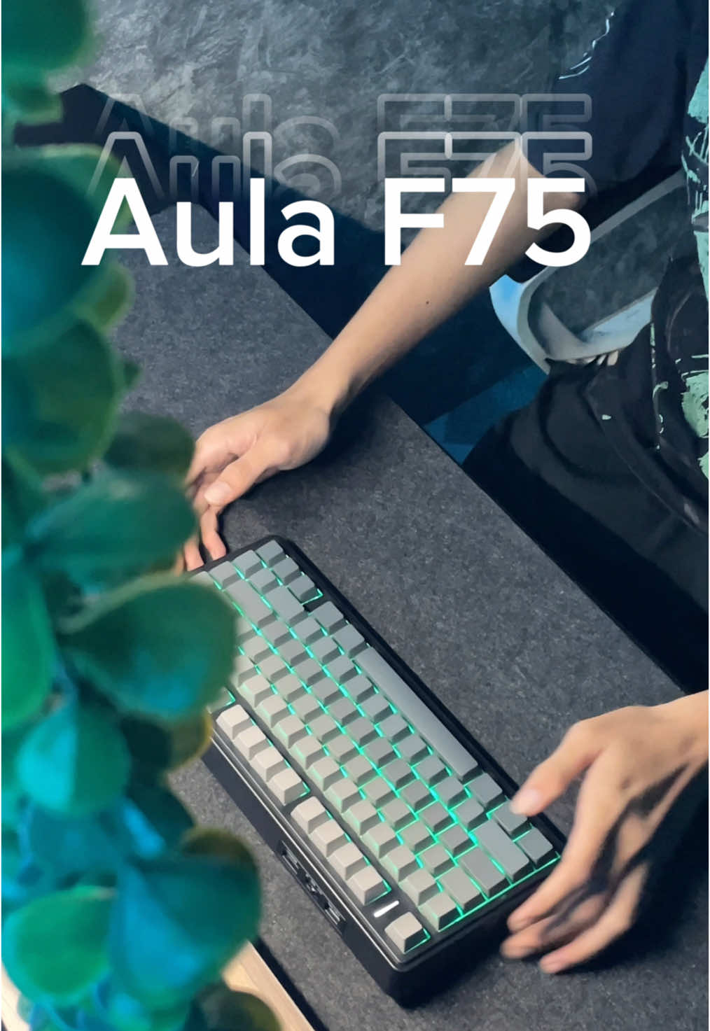 Pon Setups | What do you think about the Aula F75 keyboard? 🪴⌨️ #keyboard #Aulaf75 #decor #setup 