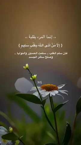 #إِلَّا مَنْ أَتَى اللَّهَ بِقَلْبٍ سَلِيمٍ ..#انما المرء بقلبه  #اقتباسات_خواطر_عبارات #ميما🇸🇦 #اكسبلورexplore 