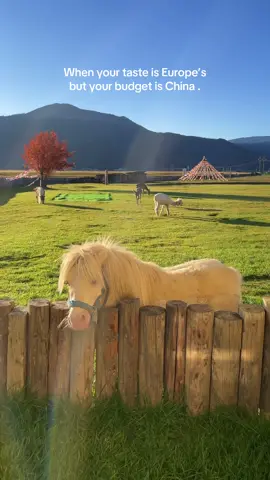 China ni pun budget friendly sesuai la for family holiday and makanan halal lagi senang dari vietnam 😁 #traveltiktok #travelfamily #travelchina #yunnan #shangrila 