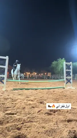 @أكاديمية القرشي🐎 #قفز_حواجز #اكسبلورexplore #fyp #خيل_وخياله🐎 #خيل #كوتش 