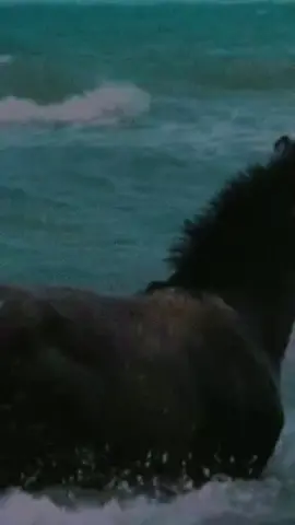 #CapCut #انا_مو_كل_الناس_تعجبني #ناصر_الوبير #اقوال #كلمات #استوريات #foryou #fypシ #اكسبلور_تيك_توك #videolucu #viral_video #2025 #fyp #fypシ 