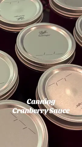 A little canning asmr to soothe the election day scaries 🥰 canning homemade cranberry sauce!  Recipe: 16 cups cranberries 6 cups water  Boil until berries pop Blend 5 cups sugar  Being to boil and simmer for 5ish minutes Add 6 tbsp lemon juice (also orange zest but i didnt have any) Water bath for 15 minutes  #fyp #canning #canningasmr #canningandpreserving #foodpreservation #homestead #homesteader #homesteading #homemade #cranberrysauce #waterbathcanning 