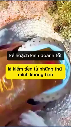 Kế hoạch kinh doanh tốt là kiếm tiền từ những thứ mình không bán
