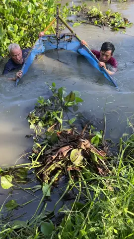Trapping a lot of giant eel fish with survival skills 👏 #fishing 