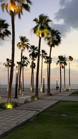 #fypシ #khobar 🤍🌴