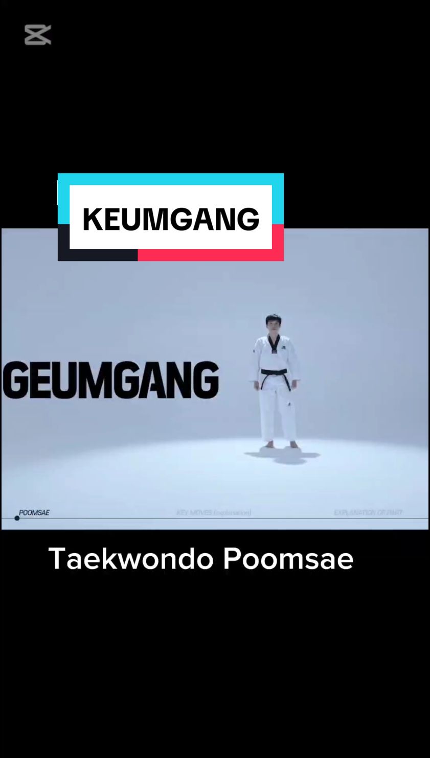Taekwondo Poomsae, KEUMGANG #taekwondoindonesia #taekwondo #poomsae #taekwondogirl #videoviral 