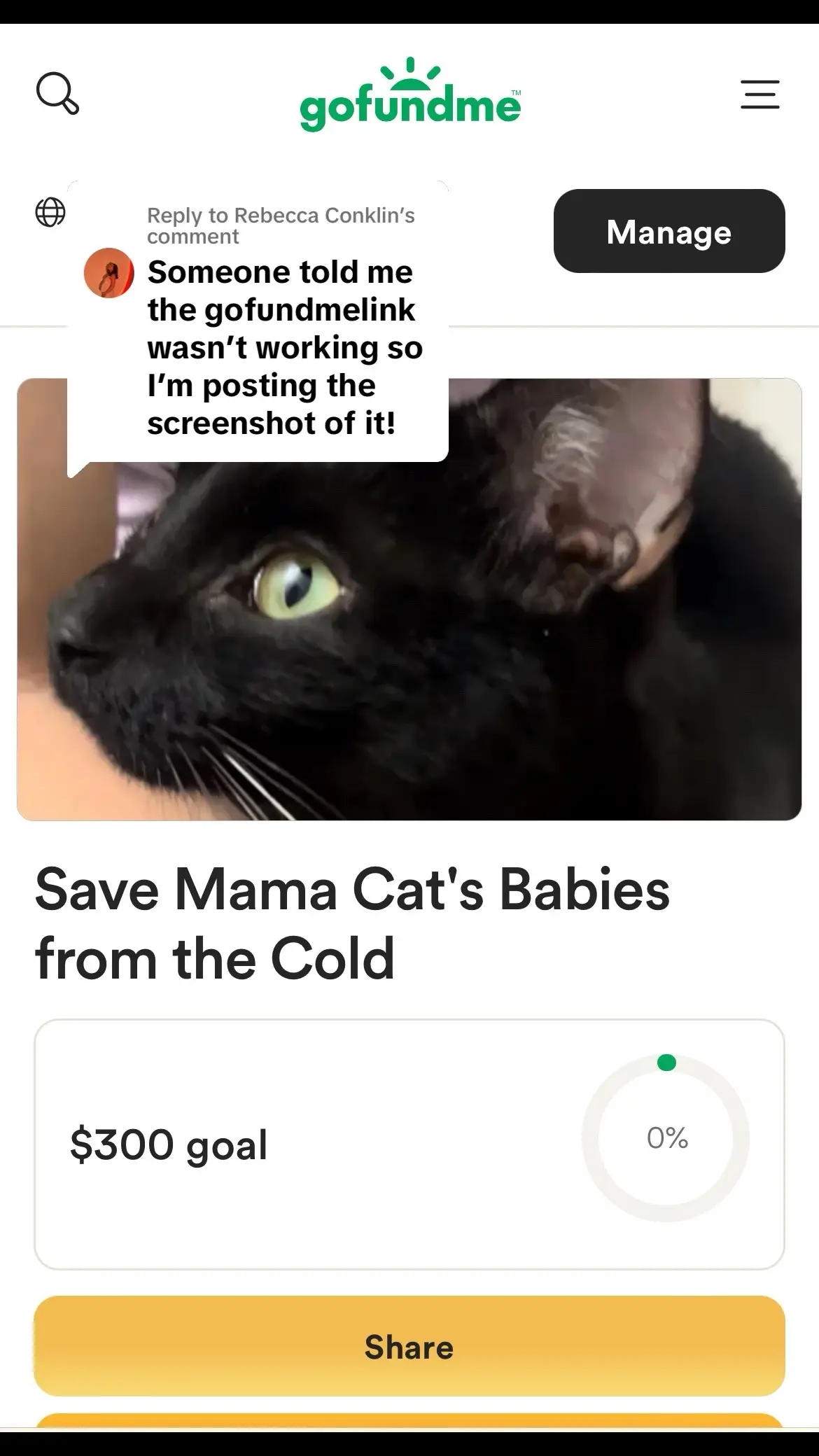 Replying to @Rebecca Conklin #PetsOfTikTok #stray #mamacat #help #animallover #animallovers #cat #catsoftiktok 