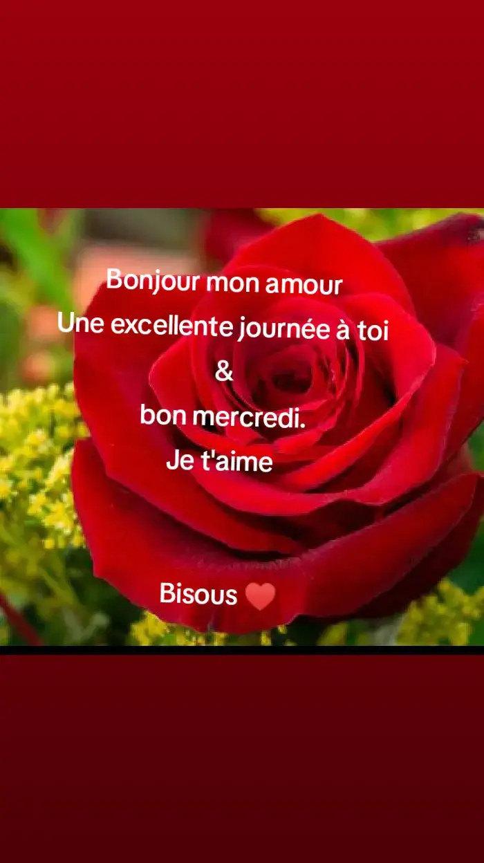 #creatorseairchinsights #benintiktok🇧🇯 . Bonjour mon amour ♥️  Bisous 