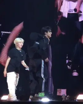 Calm down sir😭mingoo zoomies 😭 he has so much energy #mingyu 