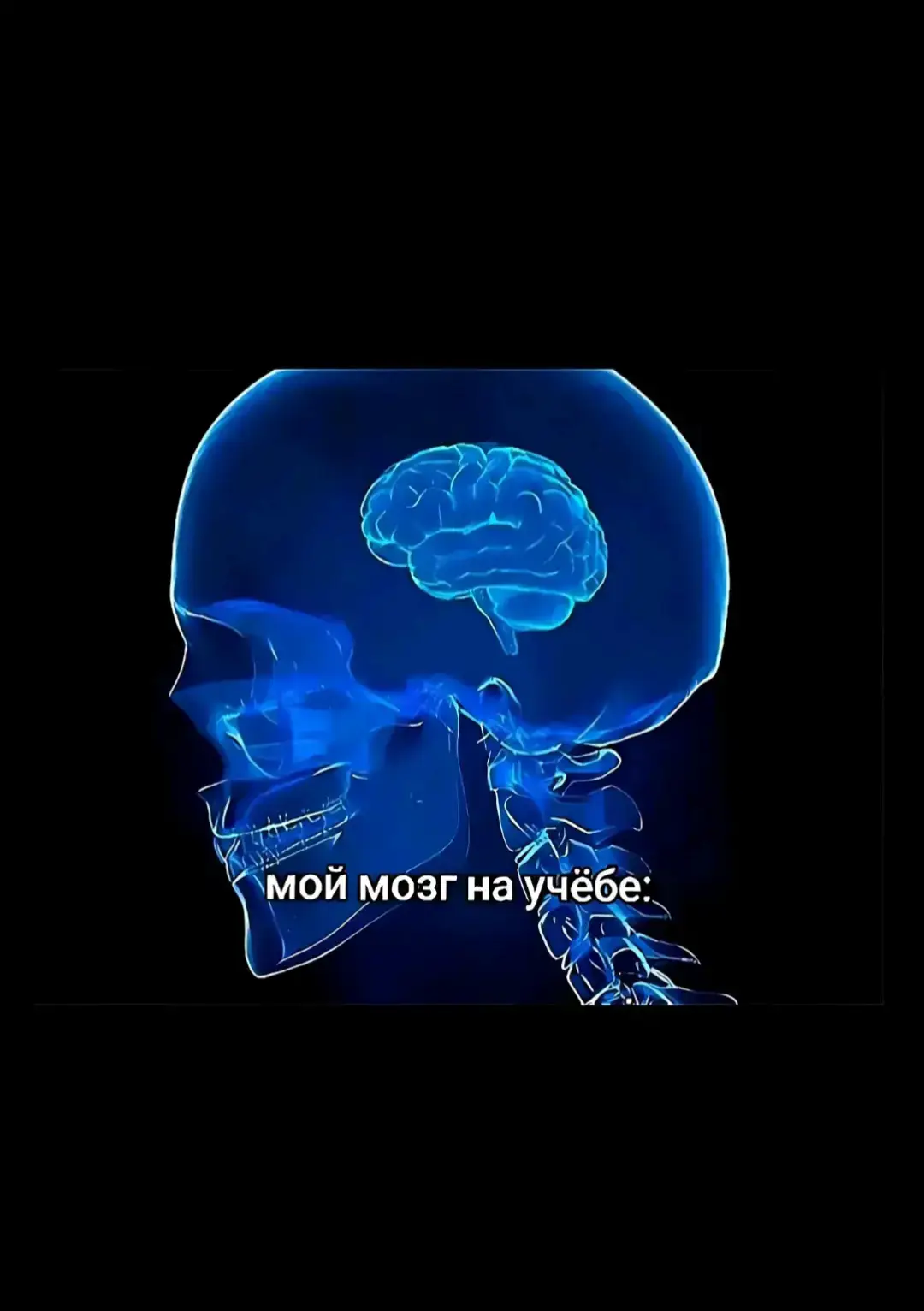 #жизажизненная #рекижпжпжп #хахахха #