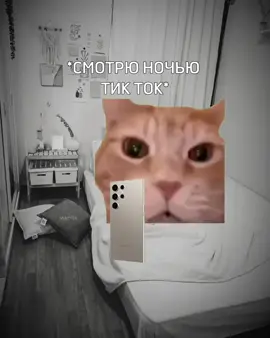 Это мои новый акк✌️#реальнаяистория #истории #историяизжизни #рекоминдации #котики #коты #котыприколы #глобальныерекомендации #рек #реки #ночнойактив #актив #глобальныерекомендации #прикольно #котымемы #мем #кот