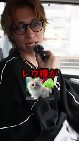 これはヤバい😓😓#ダイキ様 #ポケポケ #レウ様