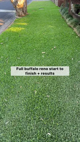FULL BUFFALO RENO — start to finish plus results 👌🏽 Absolutely stoked with the results so far!  My Complete Lawn Renovation Course and The Ultimate Yearly Lawn Program are currently on sale limited time only— link in bio 🌱 #lawn #lawncare #turfmanagement #lawnmaintenance #australiangarden  #grass #australia 