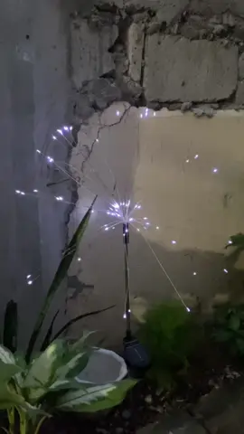 Solar fireworks lights | Dandelion style | Christmas Lights #fyp #christmaslights 