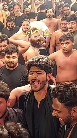Ay Musalmano💔😭 #turabnaqvii1 #qariparty #imamhussain #bibizahra #ayyamefatima #matam #noha #unfrezzmyaccount #foryou #fyp #trending #videoviral  