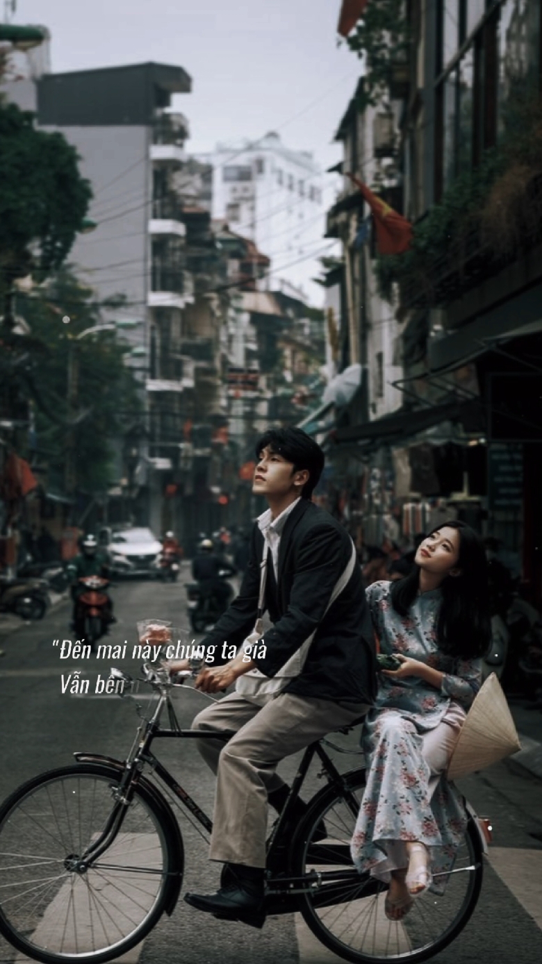 Hạnh Phúc Cuối Cùng - Trương Việt Thái lofi...#hanhphuccuoicung #truongvietthai #lauphai #lauphai24 #namviet #CapCut 