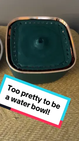 How cute is this pet water bowl I just love the colors and it was so easy to put together! It could really work for any small pet or even just a water freature its so pretty!  #catsoftiktok #dogsoftiktok #PetsOfTikTok #petmomsoftiktok #petdadsoftiktok  #dogs #cats #chickens #bunnys #smallpetsoftiktok #ferrets #pets #petaccessories #petessentials ##water #waterislife ##waterfountain #petwaterfountain 