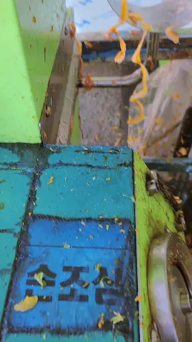 Hồng treo gió HQ đây ạ ☺️