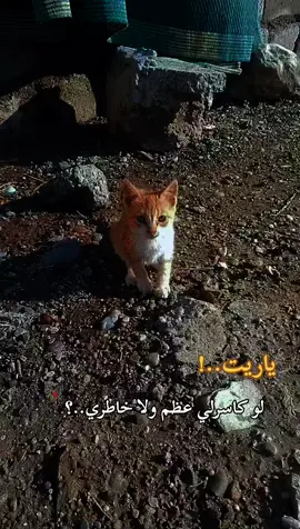 #عباراتكم #💔😔🥀 