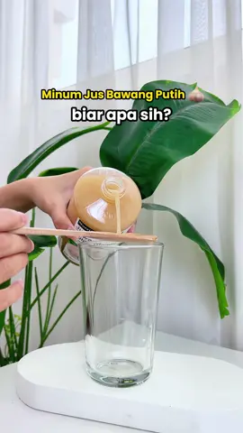 Buat yang bilang Jus Bawang Putih Tunggal itu bikin eneg, baunya gak enak.. Cobain yang satu ini dari Nutrifarm deh! Ada campuran Cuka Apel, Sari Lemon, Jahe, dan Madunya, dijamin bikin badan anget tapi rasanya gak bikin eneg 🧄🍋 #jusbawangputihtunggal #jusbawangputih #cukaapel #sarilemon #nutrifarm #manfaatbawangputihtunggal 