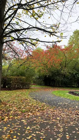 من اجمل الدول اللي زرتها بالخريف 🍂😻 #لندن🇬🇧 #بريطانيا #سفر #سياحة 