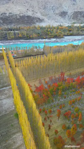 Autumn colours in north Pakistan nowadays . #colors #travel #pakistan 
