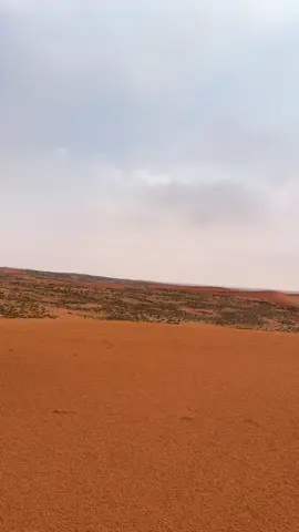 خاطري صابه تعوماس واخلاقي دمار #بر #الشيحية_حائل #حايل #البرنامج_الاصفر_فالبايو #الشتاء_وشبة_النار #كشته #بر #تصويري #الوسم #خالد_البريك #explore #fyp #u4 