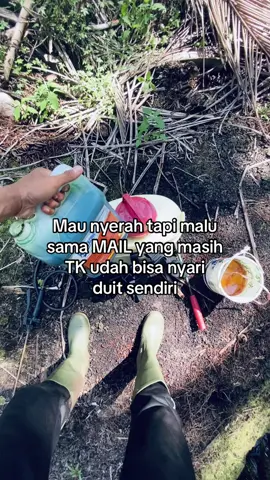 Malu sama mail🥶 #xycba #petanikelapa🌴  #kapaljambul #petanimudasukses  #kelapaontiktok #pekerjakeras  #pejuangrupiah #petanimuda  #impiankitabosmuda #kulibapak  #petaniindonesia🇮🇩🇮🇩🇮🇩🌿🌿  #fyppppppppppppppppppppppp 