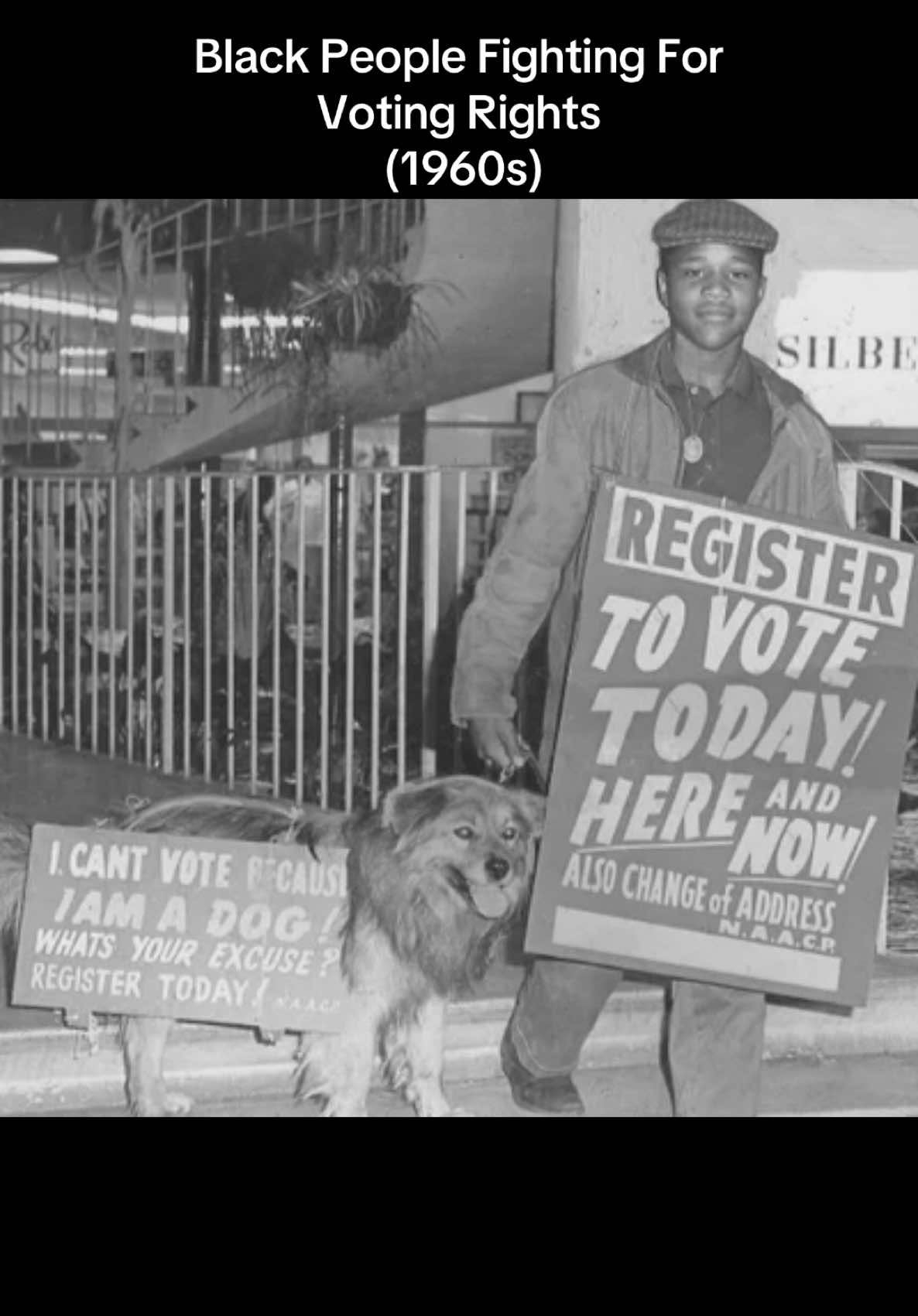 Our Ancestors My God The Strength Of Our Ancestors. They Marched, Fought, Cried, Died For Us To Have The Right, For Us To Have A Say. This Was Not Long Ago.How Can Anyone Forget? #ancestors #voting #rights #election2024 #registertovote #fight #march #cry #strength #civilrights #alabama #downsouth #southern a#60s #throwback #africanamerican #africanamericanculture #africanamericanhistory #soulaan #fyp #fypシ #explore #information 