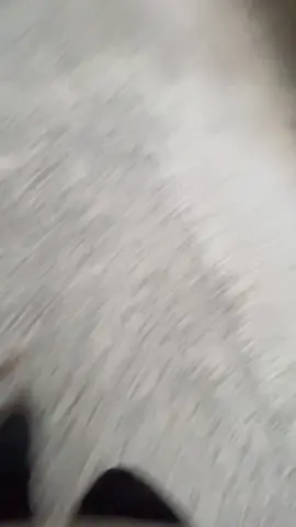 আপনাদের যদি একজন সুইপার লাগে তাহলে এই নাম্বারে যোগাযোগ করুন😄😄 +01810930294